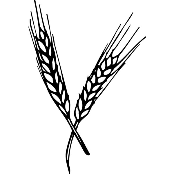 GRAIN004 Thumbnail