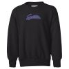 Youth EcoSmart® Crewneck Sweatshirt Thumbnail