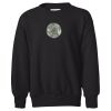 Youth EcoSmart® Crewneck Sweatshirt Thumbnail