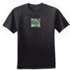 Women's Cool DRI® Performance T-Shirt Thumbnail